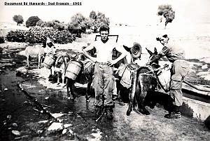 Sud-Oranais - 9e Hussards - 1961